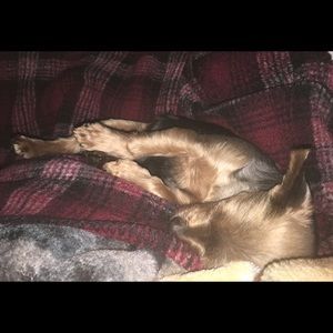 Meet your Posher, Tammy